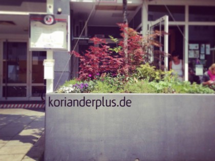 Foto: Koriander